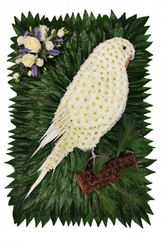 Budgie Funeral Tribute
