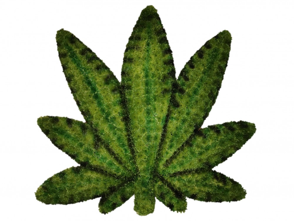 Cannabis Leaf funeral tribute