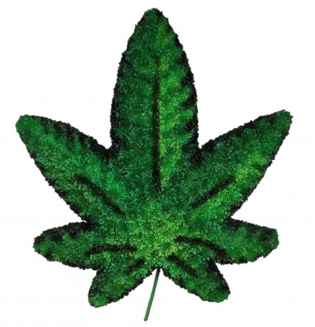 Cannabis Leaf funeral tribute