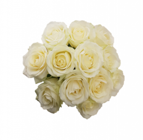 Compact Rose Bride Posy