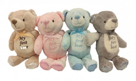My first teddy - Same Day Flower Delivery in Birmingham by Buttercups & Daisies